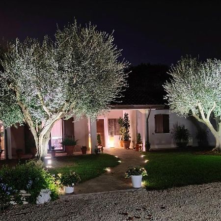 B&B Flavio E Catia Marotta Exterior photo