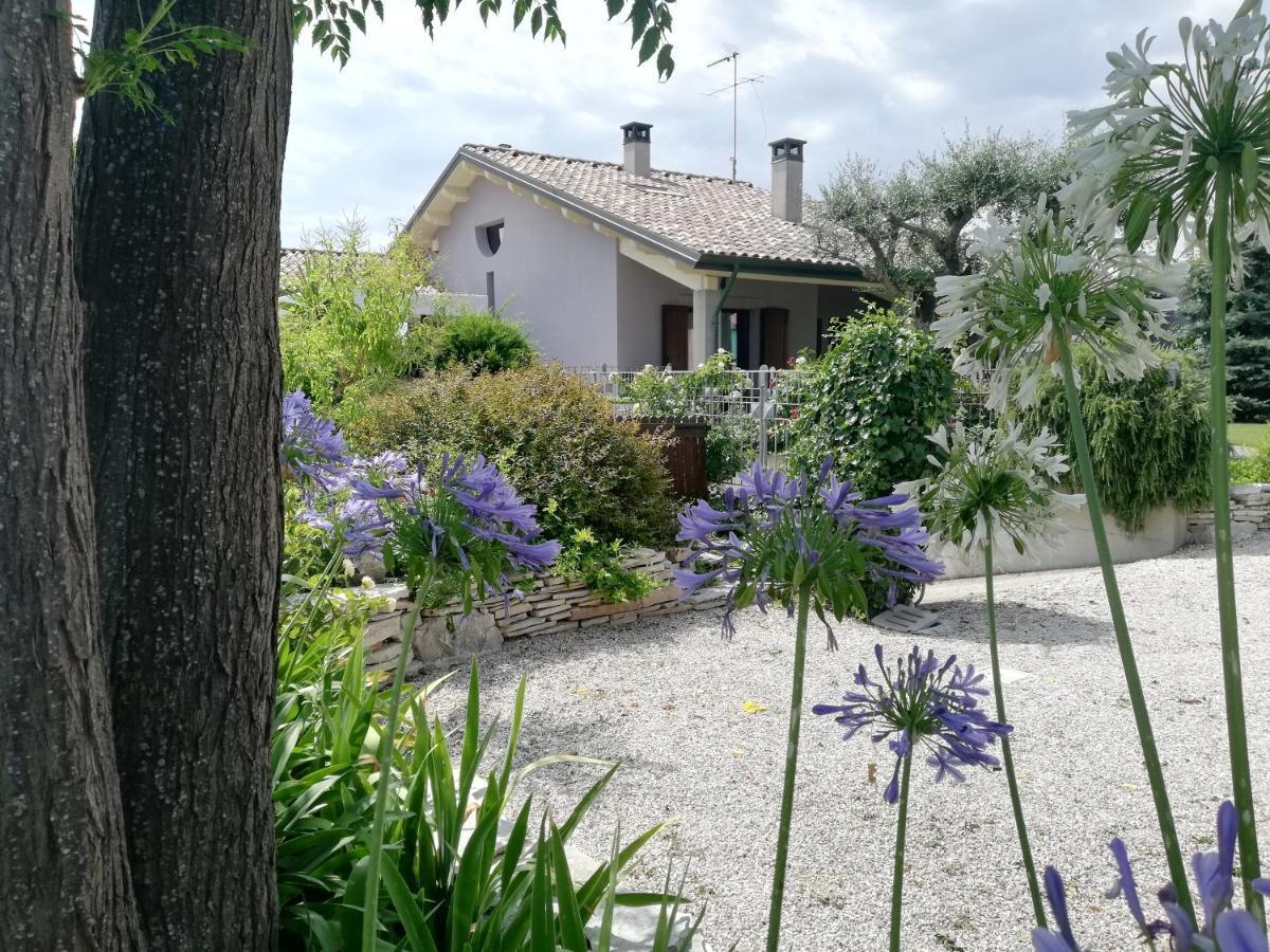 B&B Flavio E Catia Marotta Exterior photo