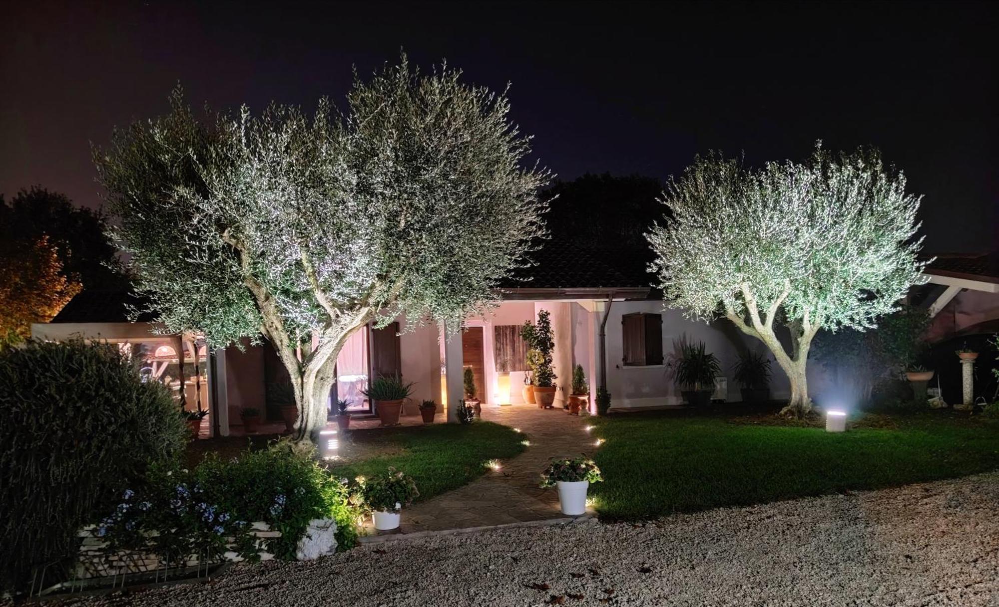 B&B Flavio E Catia Marotta Exterior photo